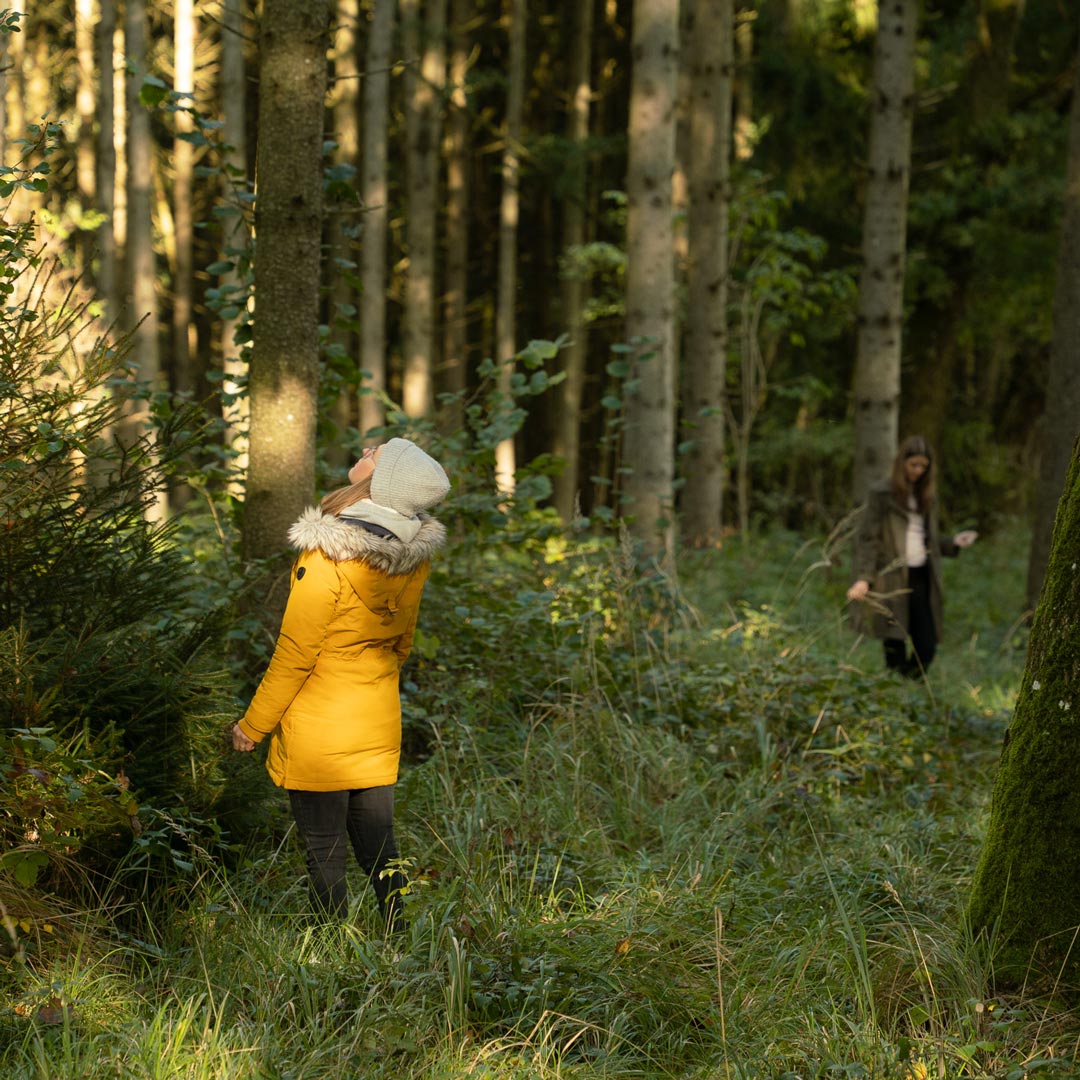 Sehnsuchtsort Wald